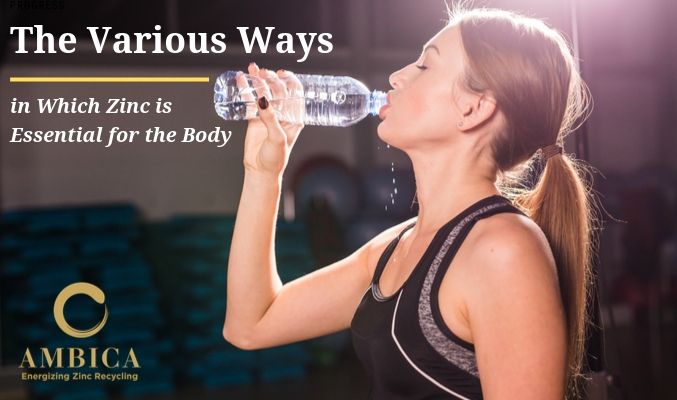 The Various Ways in Which Zinc is Essential for the Body